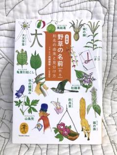 ヤマケイ文庫「 野草の名前 秋冬」