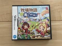 ニンテンドーDS　牧場物語 ようこそ!風のバザールへ