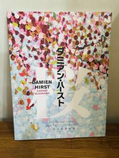Damienhirstダミアンハースト大型本 付属品完備 良質 ART FILE 27｜ダミアン・ハースト回顧展「Relics（残存