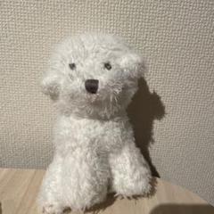 GELATO PIQUE 犬のぬいぐるみ ホワイトのサムネイル