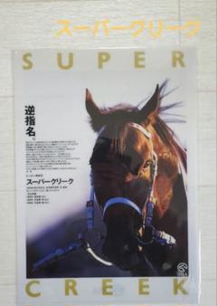 スーパークリーク ヒーロー列伝 クリアファイル JRA 未開封