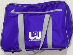 旧ワッペ 紫 美品 スクバ ワールドペガサス 中敷あり