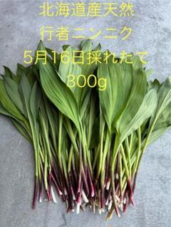 【ライライさん専用】4/14～発送 北海道天然行者にんにく 2kg 10500円 山採り行者にんにく（天然）｜北海山 十勝｜山菜 お取り寄せ