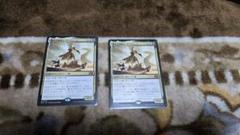 MTG　新たな夜明け、ケトラモーズ 　日本語版　2枚