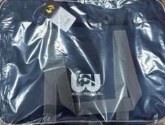 ワールドペガサス 青 旧ワッぺ ワールドペガサス ライトブルー スクールバッグワッぺ 旧ワッぺ