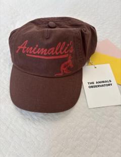 新品　The Animals Observatory キャップ M