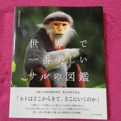 世界で一番美しいサルの図鑑