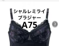 2025年最新】シャルレ ミライブラジャーの人気アイテム - メルカリ