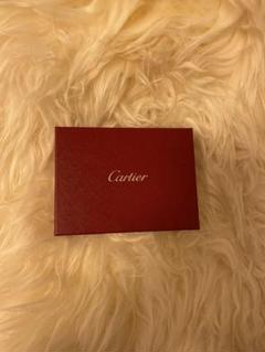 Cartier クリーニング掃除セット