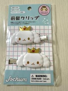 JOCHUM ジェオチャム　RURU 前髪クリップ　JO1 白岩瑠姫