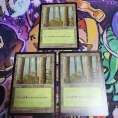 ［APACランド1］森/Forest 3枚セット