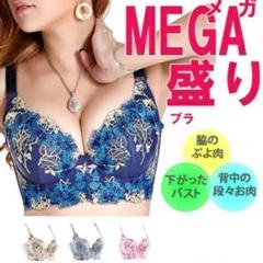 脇肉 すっきり 盛れる 谷間 育乳 ブラ 美バスト 補正下着 グレー75AB
