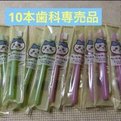 子供用歯ブラシ 10本セット 猫デザイン