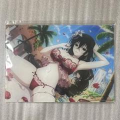 閃乱カグラ シノビマスター A4アクリルアート 雪不帰
