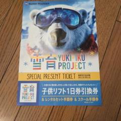 ハンターマウンテン大人一枚子供二枚リフト券 ⛄️2024-25Winter season⛄️ ❄︎早割リフト1日券 ❄︎早割