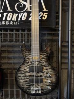 ESP Artistシリーズ エレキベースJ-TVB-V FIRE BLACK LUNA SEA J