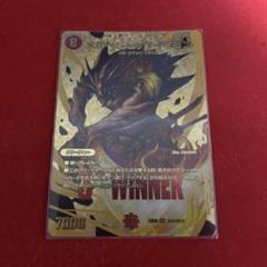 メガマナロックドラゴン　winner