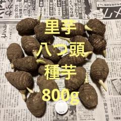 2025年最新】八頭種芋の人気アイテム - メルカリ