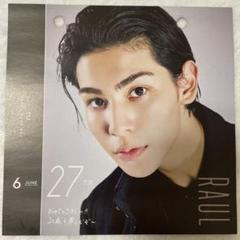 スキルフル Raul ラウール10個セット m92027508866_1.jpg?1743073934