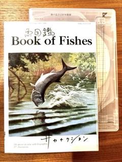 2025年最新】魚図鑑 サカナクション 3cdの人気アイテム - メルカリ