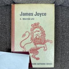 James Joyce（Twayne’s English Authors Serのサムネイル