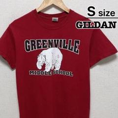 USA古着　GILDAN　Tシャツ　S　レッド　赤　プリント　アニマル　熊　ベア