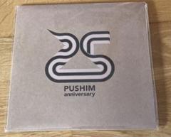 和物レゲエ PUSHIM FEAT UA CANDY 7インチ 邦楽