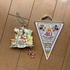 東京ディズニー　40周年　ガーランド　チャーム　グランドフィナーレ