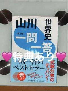 ‼️夏休みで差をつけよう‼️世界史 一問一答 第3版