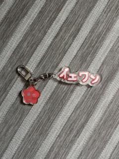 EPEX イェワン アクリルキーホルダー 東京