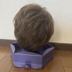 【未使用】フォンテーヌ　VALAN ショート　高級ウィッグ　人毛ミックス　グレー フォンテーヌ morefleur モアフレールV 人毛MIX高級ウィッグ