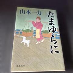 たまゆらに