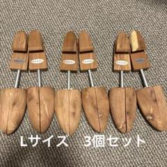 【REGAL】純正シューキーパー3個セット　TY51