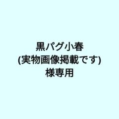 あちゃちゅむ うらぐるみブローチセット