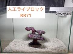 人工ライブロック　R61 アク抜き済み安心塗料使用 人工ライブロック RR75 アク抜き済み安心塗料使用 - メルカリ
