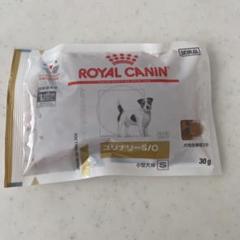 ロイヤルカナン 食事療法食 犬用 ユリナリー S/O 小型犬用 S 8kgの中古 ロイヤルカナン 食事療法食 犬用 ユリナリー S/O 小型犬用 S 8kgの中古