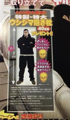 【初売り】 闇金ウシジマくん 抱き枕カバー ビッグコミックスピリッツ 真鍋 その他