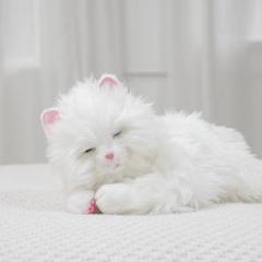 [ほぼ未使用]　しっぽふりふり　あまえんぼう子ねこちゃん しっぽふりふりあまえんぼう子ねこちゃん 通販【ニッセン】