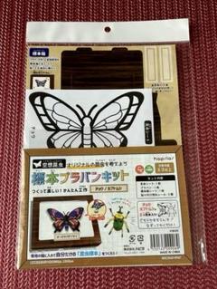 2025年最新】標本箱 セットの人気アイテム - メルカリ