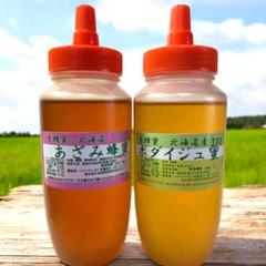 北海道産 あざみ蜜 ボダイジュ蜜 国産ピュア 生蜂蜜 非加熱 各