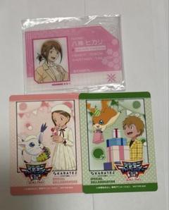 驚きの安さ ヒカリ デジモン02 タケル アクリル ミニフォト風カード カラ鉄 その他
