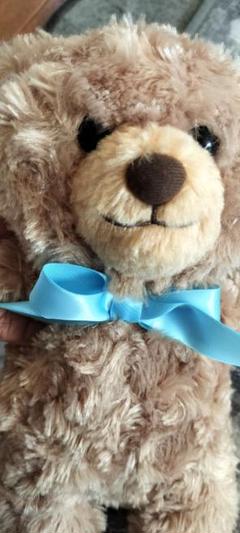 【大特価⭕️】テディベア　ぬいぐるみ　クマちゃん　くま　まとめ売り 楽天市場】くま/テディベア ぬいぐるみ 特大 4色5サイズ80cm