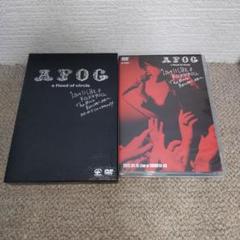 ミュージック a flood of circle LOVE IS DVD a flood of circle | 