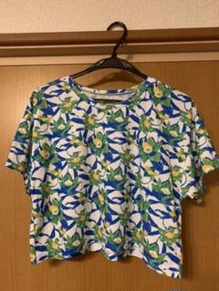 Tシャツ カットソー トップス