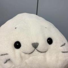 しろたん　20周年復刻　抱き枕（約91cm）