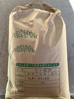 令和2年度産ミルキープリンセス精米済み 10キロ