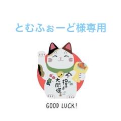 超希少 本物 モンステラ デリシオーサ タトゥー メドウーサー