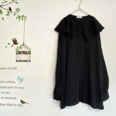 FIT more /ビッグカラー ブラウス 黒 比翼ボタン ビッグシルエット
