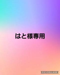 【専用出品】※他の方はご購入をお控えください(_ _*)ウオッカ様へ はと様専用。他の方のご購入お控えください。 - メルカリ