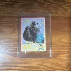 2025年最新】鳥羽水族館 70周年の人気アイテム - メルカリ